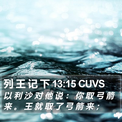 列 王 记 下 13:15 CUVS Bible Verse Image