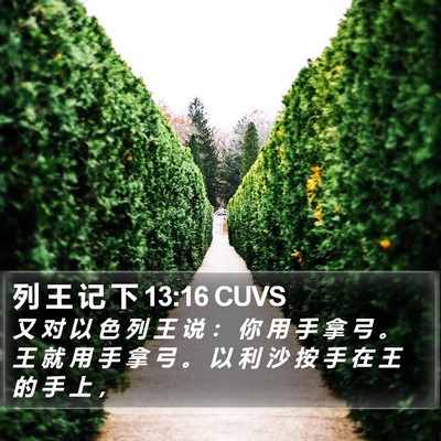 列 王 记 下 13:16 CUVS Bible Verse Image