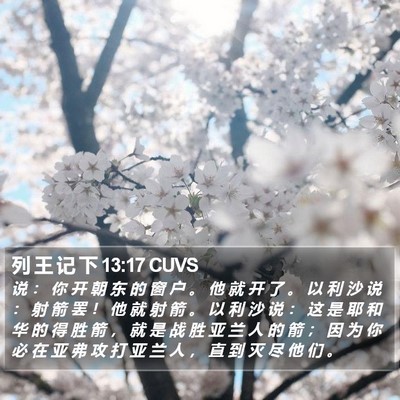 列 王 记 下 13:17 CUVS Bible Verse Image
