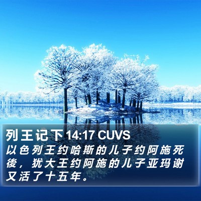 列 王 记 下 14:17 CUVS Bible Verse Image