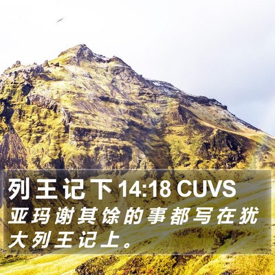 列 王 记 下 14:18 CUVS Bible Verse Image