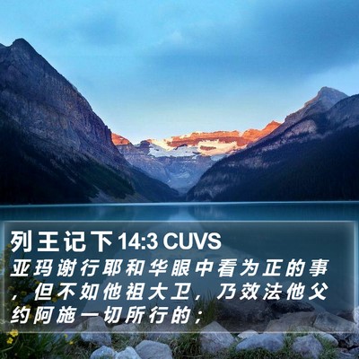 列 王 记 下 14:3 CUVS Bible Verse Image