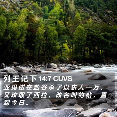 列 王 记 下 14:7 CUVS Bible Verse Image