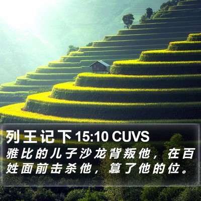 列 王 记 下 15:10 CUVS Bible Verse Image