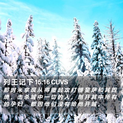 列 王 记 下 15:16 CUVS Bible Verse Image