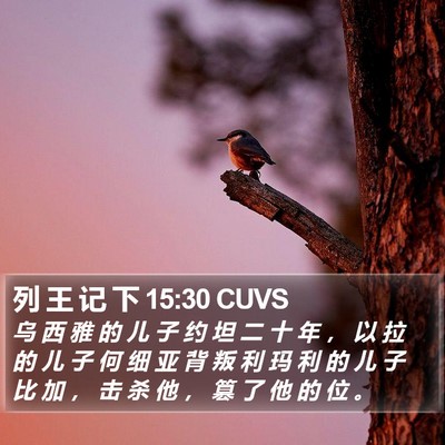 列 王 记 下 15:30 CUVS Bible Verse Image