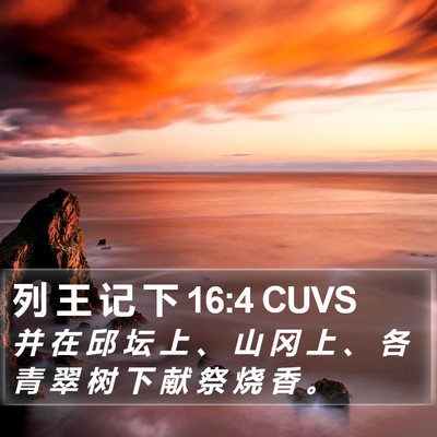 列 王 记 下 16:4 CUVS Bible Verse Image