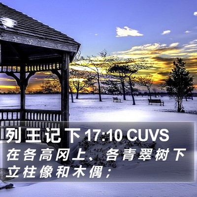 列 王 记 下 17:10 CUVS Bible Verse Image