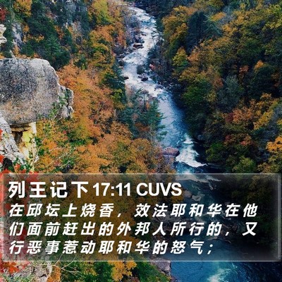 列 王 记 下 17:11 CUVS Bible Verse Image