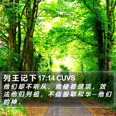 列 王 记 下 17:14 CUVS Bible Verse Image