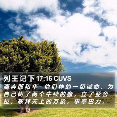 列 王 记 下 17:16 CUVS Bible Verse Image