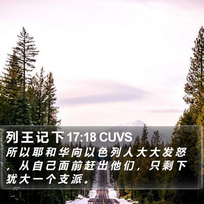 列 王 记 下 17:18 CUVS Bible Verse Image
