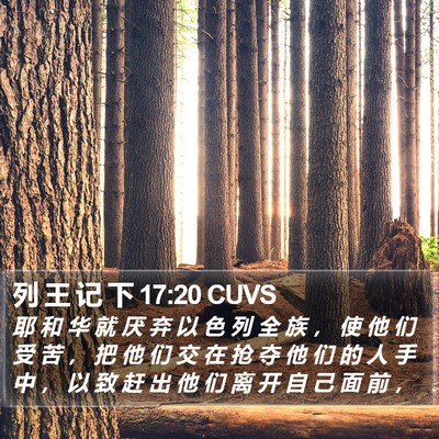 列 王 记 下 17:20 CUVS Bible Verse Image