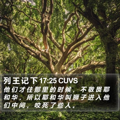 列 王 记 下 17:25 CUVS Bible Verse Image