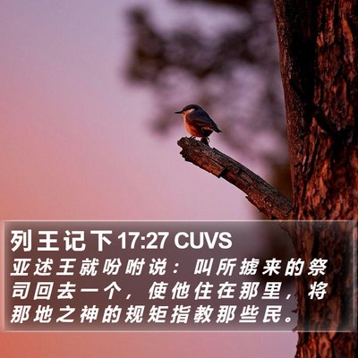 列 王 记 下 17:27 CUVS Bible Verse Image