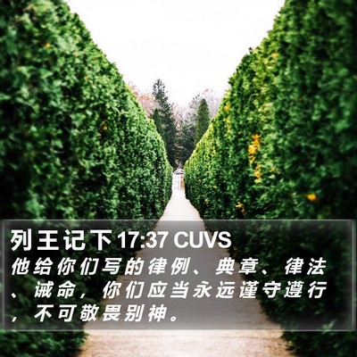 列 王 记 下 17:37 CUVS Bible Verse Image