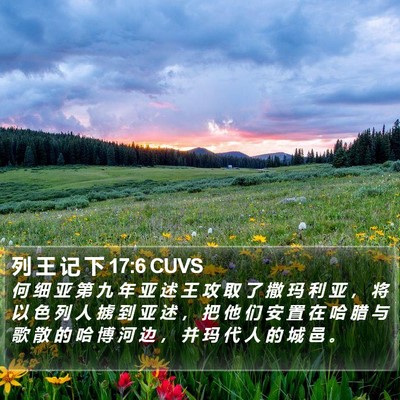列 王 记 下 17:6 CUVS Bible Verse Image
