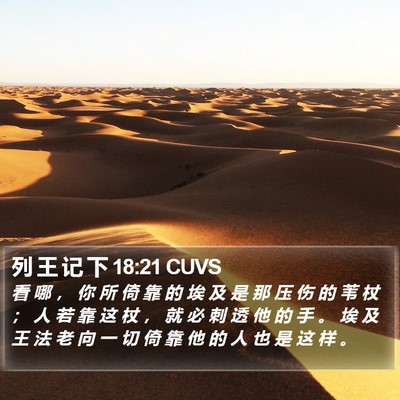 列 王 记 下 18:21 CUVS Bible Verse Image