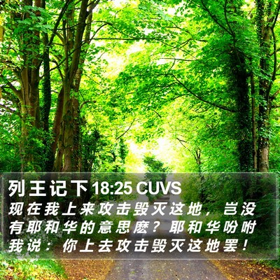 列 王 记 下 18:25 CUVS Bible Verse Image