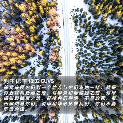 列 王 记 下 18:32 CUVS Bible Verse Image