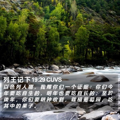 列 王 记 下 19:29 CUVS Bible Verse Image