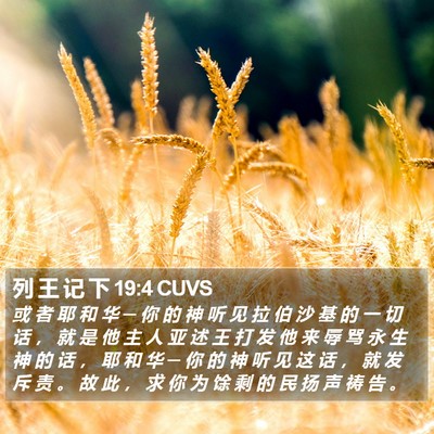列 王 记 下 19:4 CUVS Bible Verse Image