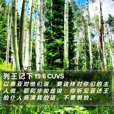 列 王 记 下 19:6 CUVS Bible Verse Image