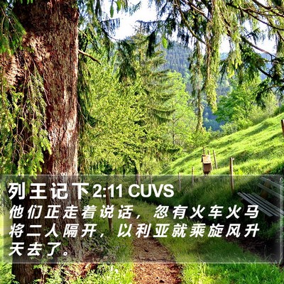 列 王 记 下 2:11 CUVS Bible Verse Image