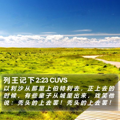 列 王 记 下 2:23 CUVS Bible Verse Image