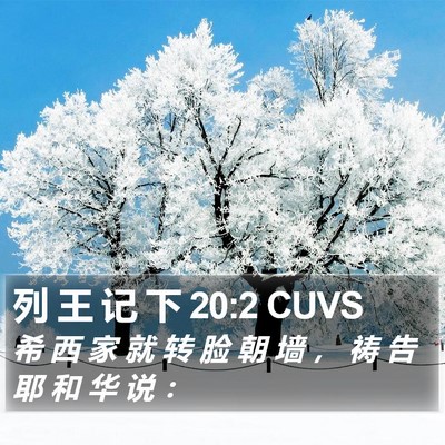 列 王 记 下 20:2 CUVS Bible Verse Image