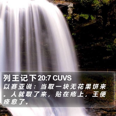 列 王 记 下 20:7 CUVS Bible Verse Image