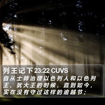 列 王 记 下 23:22 CUVS Bible Verse Image
