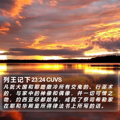 列 王 记 下 23:24 CUVS Bible Verse Image