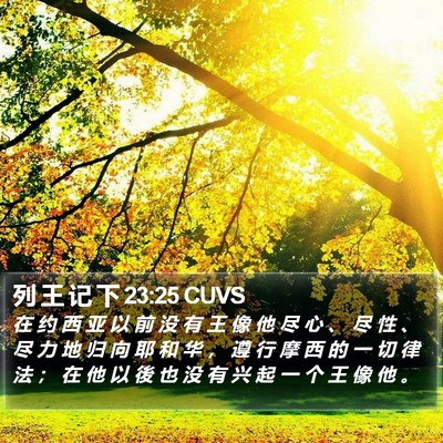 列 王 记 下 23:25 CUVS Bible Verse Image