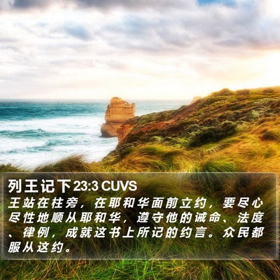 列 王 记 下 23:3 CUVS Bible Verse Image