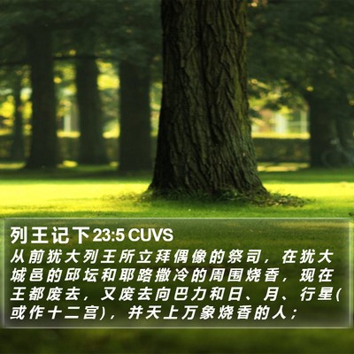 列 王 记 下 23:5 CUVS Bible Verse Image