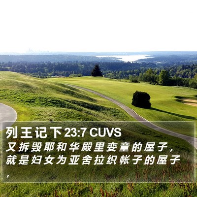 列 王 记 下 23:7 CUVS Bible Verse Image