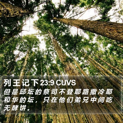 列 王 记 下 23:9 CUVS Bible Verse Image
