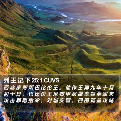 列 王 记 下 25:1 CUVS Bible Verse Image