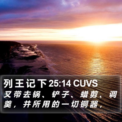 列 王 记 下 25:14 CUVS Bible Verse Image