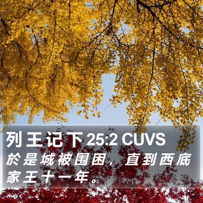 列 王 记 下 25:2 CUVS Bible Verse Image