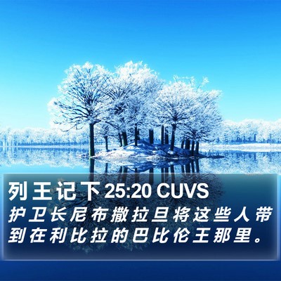 列 王 记 下 25:20 CUVS Bible Verse Image