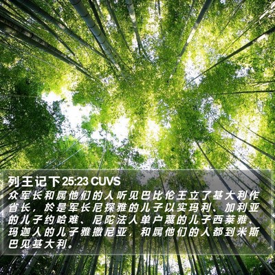 列 王 记 下 25:23 CUVS Bible Verse Image