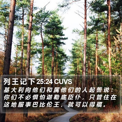 列 王 记 下 25:24 CUVS Bible Verse Image