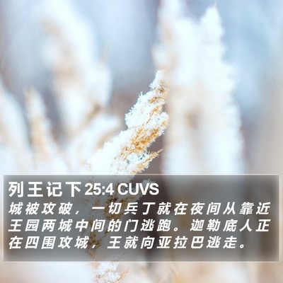 列 王 记 下 25:4 CUVS Bible Verse Image