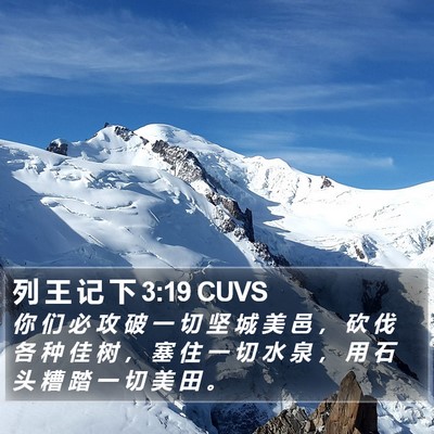 列 王 记 下 3:19 CUVS Bible Verse Image