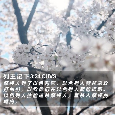 列 王 记 下 3:24 CUVS Bible Verse Image