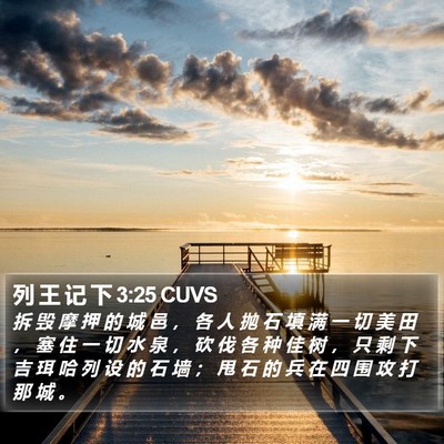 列 王 记 下 3:25 CUVS Bible Verse Image