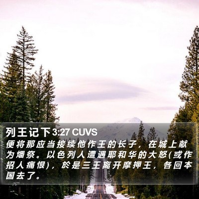 列 王 记 下 3:27 CUVS Bible Verse Image