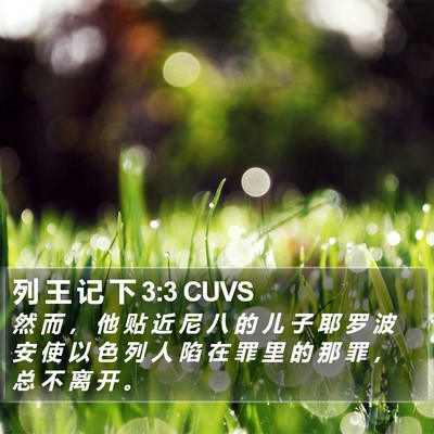 列 王 记 下 3:3 CUVS Bible Verse Image